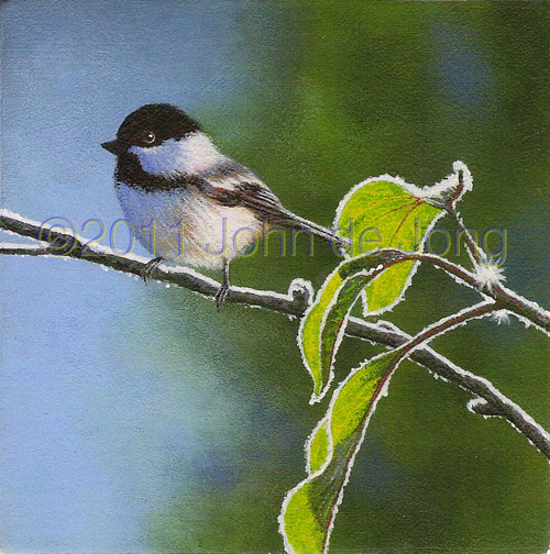 Chickadee